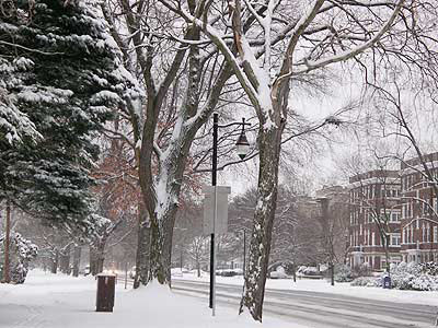 050106snow.jpg