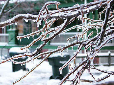 050107ice.jpg