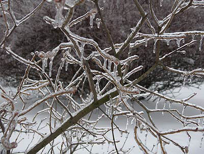 ice a.m.