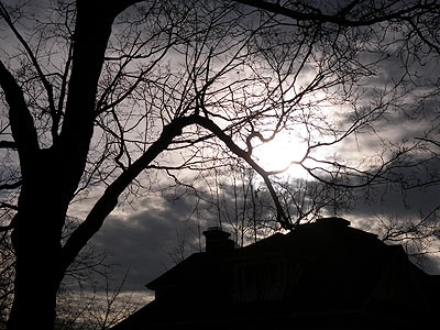 winter-sun.jpg