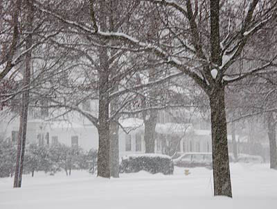 050126_snow.jpg