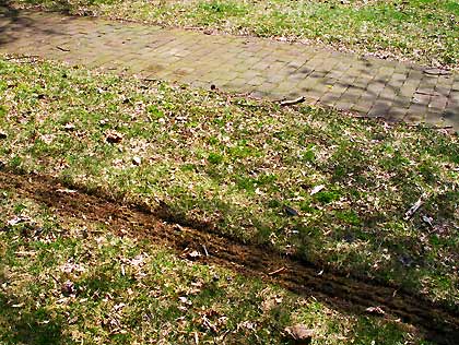 050409_tiretracks.jpg