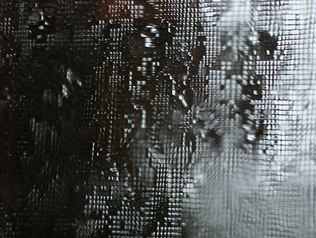 050629_rain.jpg