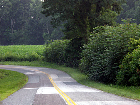 050710_road.jpg