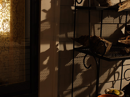 080831_still-life.jpg