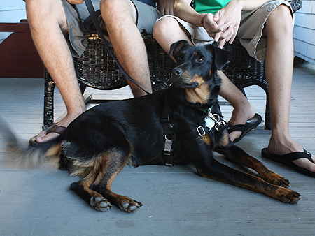 080901_fiona.jpg