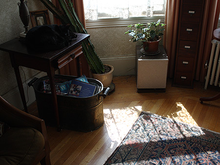 080901_withcat.jpg