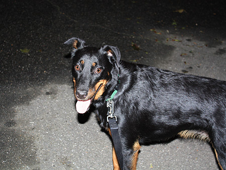 080902_white-tongue.jpg
