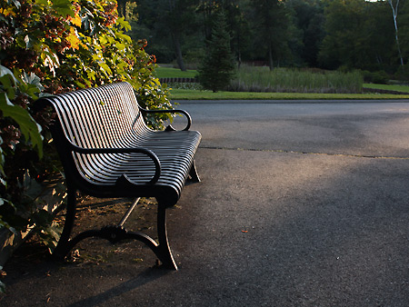 080920_bench.jpg