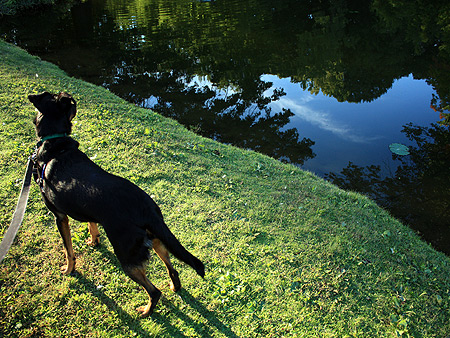 080920_fiona.jpg