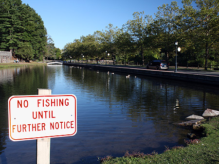 080920_fishing.jpg