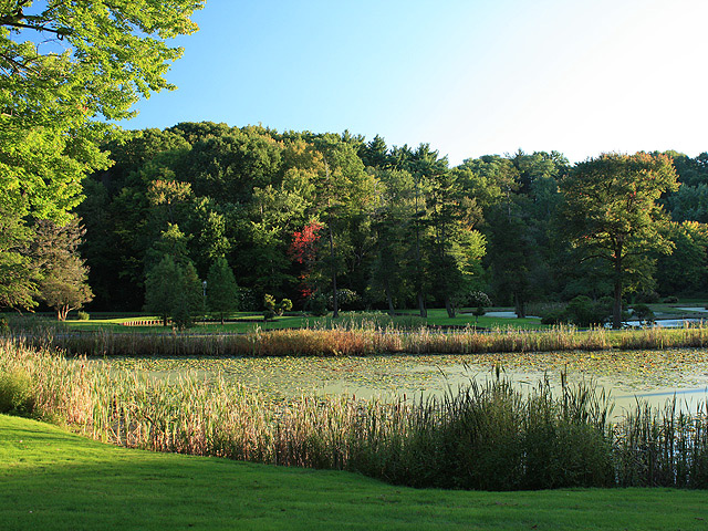 080920_pond.jpg