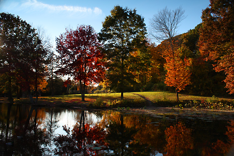 081018_reflection_4573-470.jpg