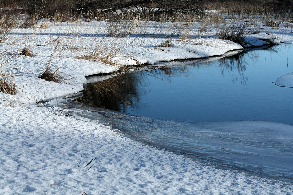 20090217_river_6739.jpg