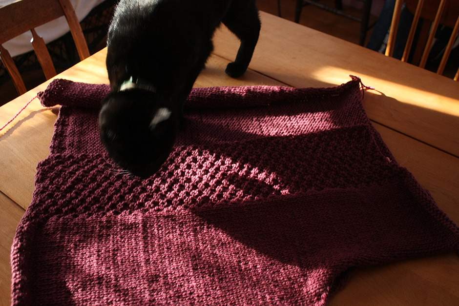 20090312_cat_6906.jpg