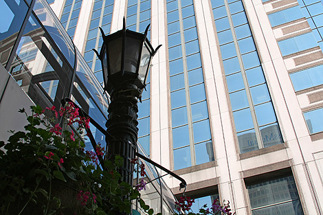 20090608_monarch_9626.jpg