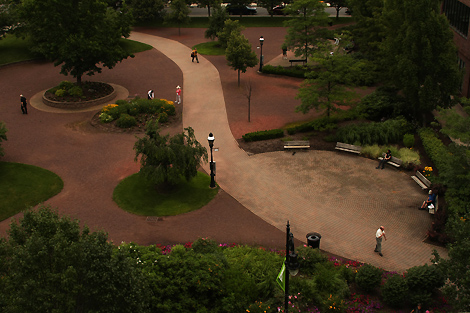 20090706_park_0765_470.jpg