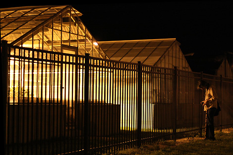 20090710_greenhouse_0812.jpg