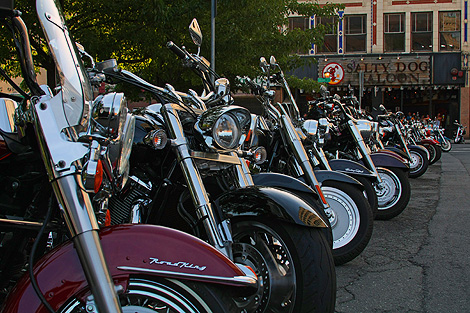 20090806_cycles_1154.jpg
