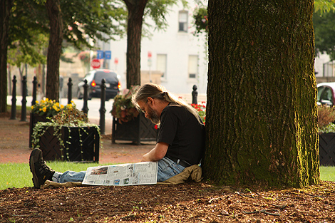 20090825_tree_1218-470.jpg