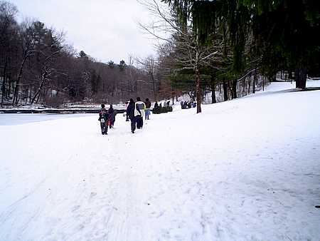 heading into the woods