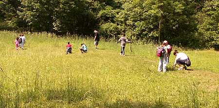 In the field