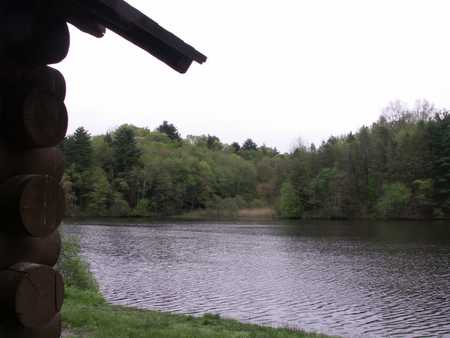 Windy morning at cabin