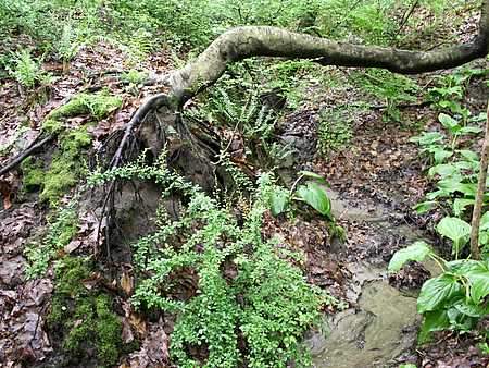 erosion