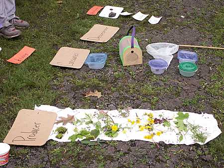 Sorting field finds